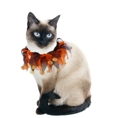 Dog Christmas Halloween Costume Dog Collar